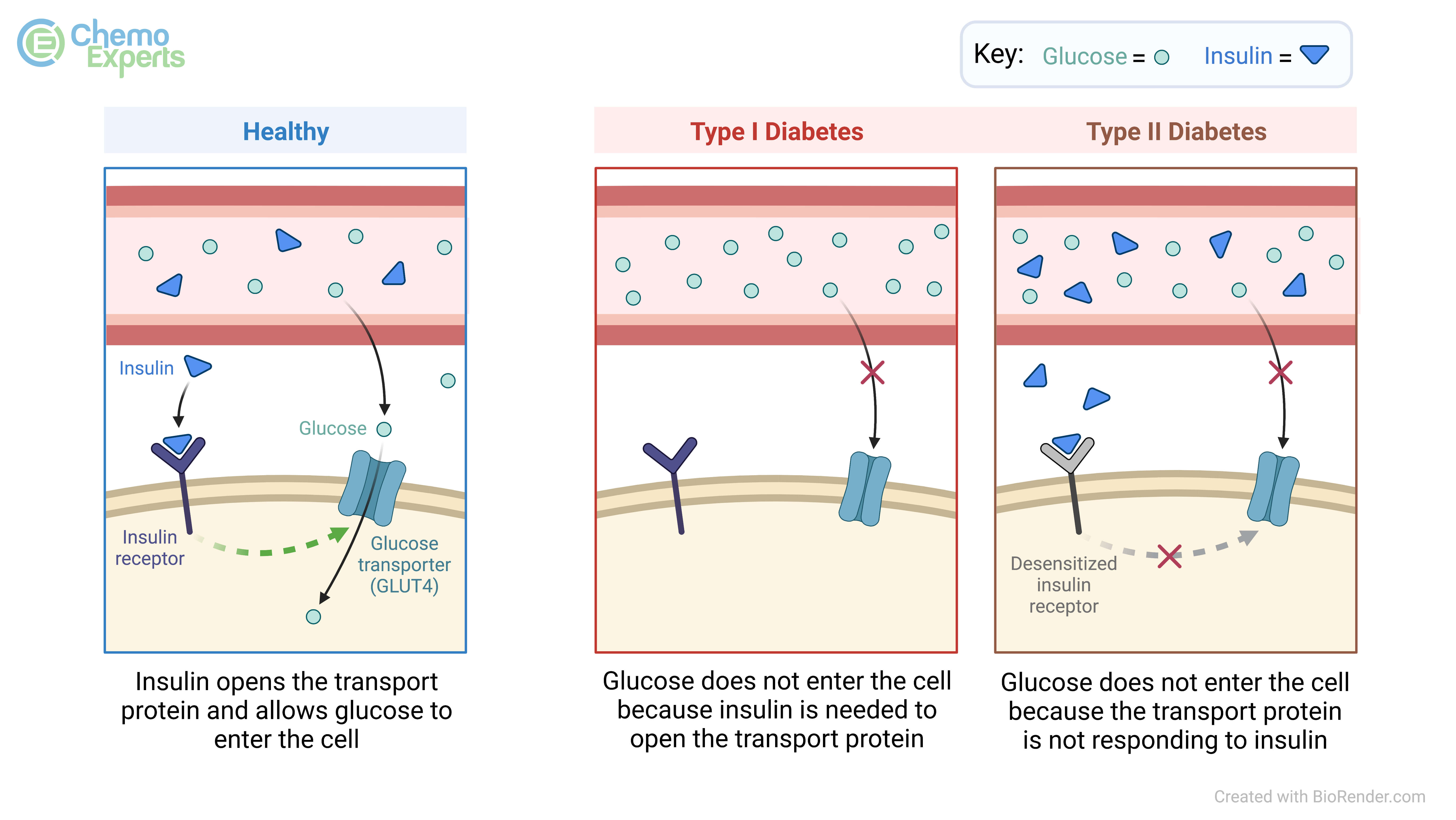 Insulin-type-1-diabetes-type-II-diabetes.jpeg